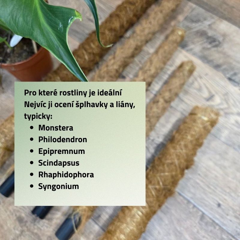 Sisalová opora mix velikostí